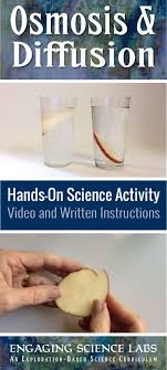 Students Use Slices Of Potatoes To Investigate Osmosis The Movement Of Water Into And Out Of The Cells Of T Science Cells Life Science Activities Biology Labs