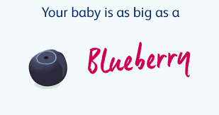Now, try the right place. 7 Weeks Pregnant Pregnancy Week By Week Bounty