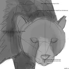 Draw the shoulders and the long forelegs. Realistic Cheetah Drawings In 4 Steps With Photoshop