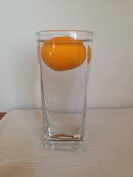orange float or sink? science 4