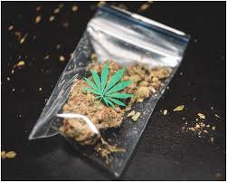 From cancer to addiction | complex unconscious psychological stresses underlie and . Unlocking The Addicted Mind Drug Effects On The Brain
