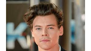 Harry Styles done with movies?