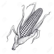 Easily find every type of pipe you're looking for at low prices. Natural A Face Patul CÄƒpÈ™unÄƒ Corn Drawing Pictures Stdeclanspenshurst Org