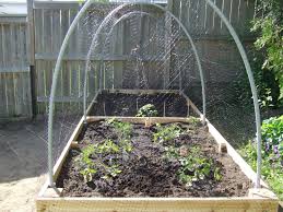 How to make a raised garden bed with paver edging. Raised Garden Beds Storygal S Blog