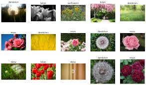 We did not find results for: Classify Flowers With Transfer Learning Tensorflow Hub