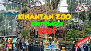 Selain kebun binatang, objek wisata ini juga mempunyai rumah adat minangkabau baanjuang dan juga jembatan. Kinantanzoo Zoo Bukittinggi Wajah Baru Kinantan Zoo Kebun Binatang Bukittinggi 2021 Youtube