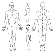 Body Assessment Forms Google Search Body Diagram Human