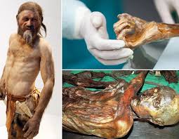 Gặp Ötzi người đàn ông iceman Người xác ướp này được phát hiện vào năm 1991 ở dãy núi Alps bởi 2 du khách Đức. Cơ thể đã hơn 5.000 năm tuổi.