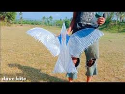 Cara Membuat Layang Layangan Burung Merpati Dari Lidi Kelapa Youtube Di 2020 Layang Layang Burung Kreatif