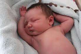 Daughter of Hawaii police officer born in squad car