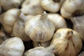 Maybe you would like to learn more about one of these? How To Grow Garlic Indoors Dengarden
