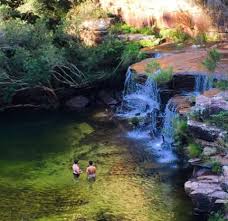 Winifred Falls Royal National Park Here S A List Of The Best Walks Camping And Things To Do S Royal National Park Sydney National Park Camping Australia