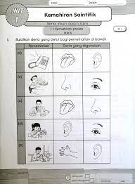 Dengan memberikan lebih banyak latihan, ini akan membiasakan para pelajar dengan pelbagai bentuk soalan. Aka11 Sukses Hebat Sains Tahun 3 Mommyhappy