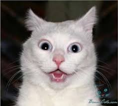 Catherine Horan Office Building, 1221 Main St, Holyoke, MA 01040, US