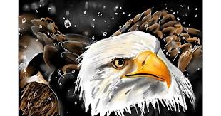 Very easy !, how to turn words fish into cartoon for kids / how to draw fish. Eagle Drawing Gallery And How To Draw Videos