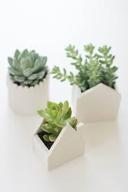 Diy project guides & ideas. 30 Creative Diy Ways To Show Off Your Plants