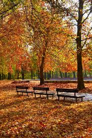 Trei, doamne, şi toţi trei! Pin On Bench And Sittes In Spectacular View