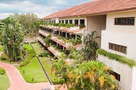 @le.grandeur.palm.resort.johor #palmresortjohor #lgprj #johorhotels www.palmresort.com. Reviewed Le Grandeur Palm Resort Johor Include Transport