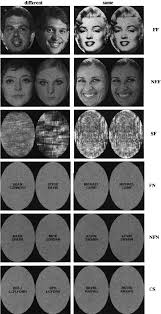 This list of celebrities is loosely sorted by popularity. Examples Of The Stimuli Used In Experiment 1 Ff Ï­ Famous Faces Nff Ï­ Download Scientific Diagram