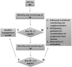 Total Serum Bilirubin within 3 Months of Hepatoportoenterostomy Predicts  Short-Term Outcomes in Biliary Atresia