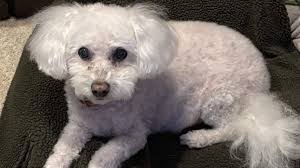 Kansas family creates website to honor stillborn daughter