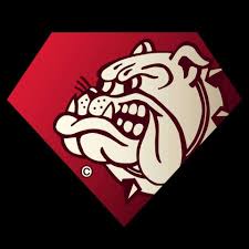 The bulldog is actually the very first coffeeshop and until today, the only one with its original founders and but why did he use the term coffeeshop, while 'coffee' is not what most visitors come for? The Bulldog Breda Amsterdam Coffee Shop Bulldog Amsterdam Hotel
