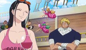 Pin On One Piece