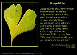 Geboren wurde er als sohn von wohlhabenden eltern in. Ginkgo Biloba Gedicht Von Johann Wolfgang Von Goethe Medienwerkstatt Wissen C 2006 2017 Medienwerkstatt