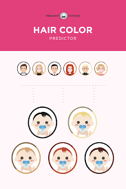 This article looks at the genetic basis of blonde hair. What Color Hair Will My Baby Have Baby Hair Color Predictor