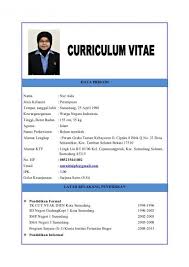 Biasanya cv akan dibuat semenarik mungkin agar dapat menciptakan kesan. 20 Contoh Cv Curriculum Vitae Daftar Riwayat Hidup Disukai Hrd