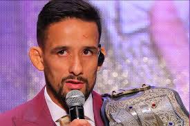 UFC/MMA February: A Bog Man named Bogdan