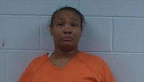 POLK SO MEDIA ARREST SUMMARY