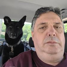 What are the remediation options for trees cut by Eversource or Lucas Tree  without permission?