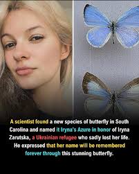A new butterfly species has been named after Iryna Zarutska, the  23-year-old Ukrainian refugee who was fatally stabbed while riding the  Charlotte light rail.