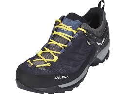 Cholla cactus represent more than 20 species of the opuntia genus (family cactacea) in the north american deserts. The Best Climbing Approach Shoes In 2021 The Complete List