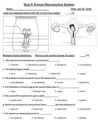 20 The Female Reproductive System Worksheet Worksheet From Home In 2020 Body Systems Worksheets Reproductive System Reproductive System Lesson