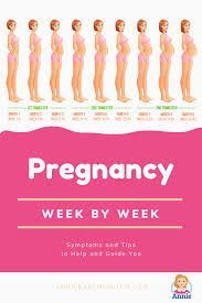 Pin On Pregnancy