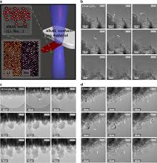 180.54 °c 3 number of neutrons: Unravelling The Room Temperature Atomic Structure And Growth Kinetics Of Lithium Metal Nature Communications