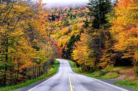 Maybe you would like to learn more about one of these? 16 Of The Most Beautiful Places To Visit In West Virginia Global Grasshopper Travel Inspiration For The Road Less Travelled