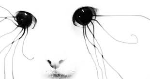 Black And White Cat Drawing Cats Eyes Cat Eyes Drawing Black Cat Drawing Cat Art Illustration