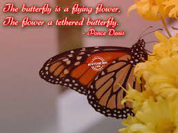 We did not find results for: Flowers And Butterflies Quotes Quotesgram