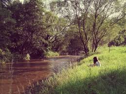 Write About Someone Who Runs Away From Home Picture Prompts A Writer S Life Writing A Book