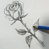 The good news is that there are several ways that you can finish a rose drawing, they go from very simple pencil rose outlines and doodles to realistic rose drawing. Https Encrypted Tbn0 Gstatic Com Images Q Tbn And9gcsdau73sy2oveyvy2nxojdmgv B1gcfre6o3jitekoon0uohwf1 Usqp Cau