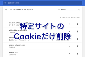 Google Chrome】特定サイトのCookieのみを削除する方法 - ネタフル