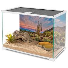 Image result for Terrarium Cling Background