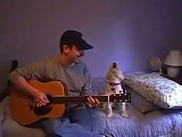 Learn how to housebreak your dog in 6 days for free. How To Teach Your Dog To Howl Two Simple Steps