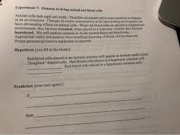 A living animal cell is kept in hypotonic solution. Experiment 7 Osmosis In Living Animal Red Blood Chegg Com