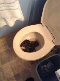 Pin By Amy Lennon On Things I Like Scary Pranks Pranks College Pranks