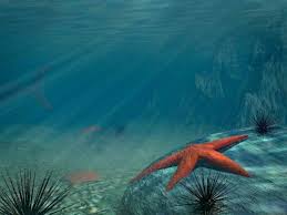 Cartoon Ocean Floor Ocean Mural Under The Sea Images Under The Ocean