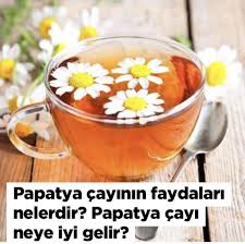Papatya Cayinin Faydalari Ve Zararlari Nelerdir Dogal Cilt Bakimi Papatyalar Dogal Cilt